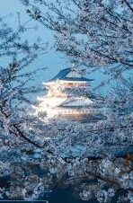 王者传奇九游版本下载-王者传奇，登陆九游版本，畅享传奇之旅